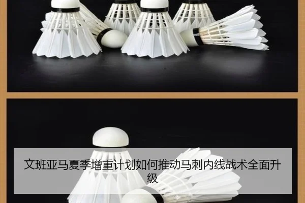 文班亚马夏季增重计划如何推动马刺内线战术全面升级
