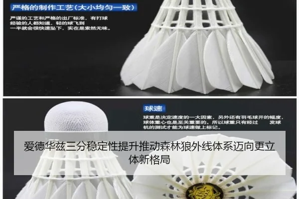 爱德华兹三分稳定性提升推动森林狼外线体系迈向更立体新格局